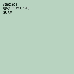 #B9D3C1 - Surf Color Image
