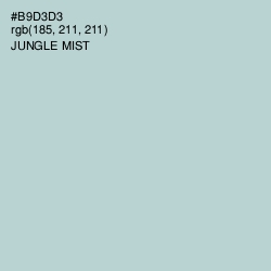 #B9D3D3 - Jungle Mist Color Image