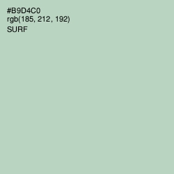 #B9D4C0 - Surf Color Image