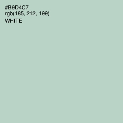 #B9D4C7 - Surf Color Image