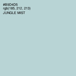 #B9D4D5 - Jungle Mist Color Image
