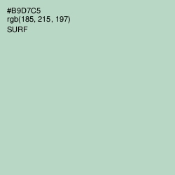 #B9D7C5 - Surf Color Image