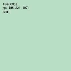 #B9DDC5 - Surf Color Image