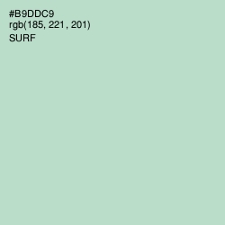 #B9DDC9 - Surf Color Image