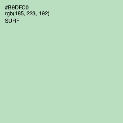 #B9DFC0 - Surf Color Image