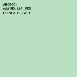 #B9E0C1 - Fringy Flower Color Image