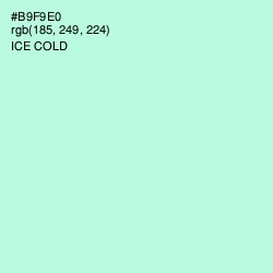 #B9F9E0 - Ice Cold Color Image