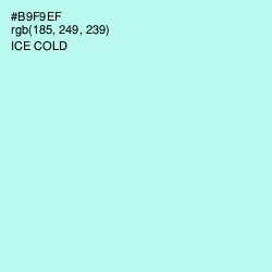 #B9F9EF - Ice Cold Color Image
