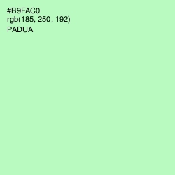 #B9FAC0 - Padua Color Image