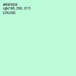 #B9FAD9 - Cruise Color Image