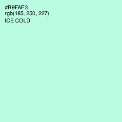 #B9FAE3 - Ice Cold Color Image