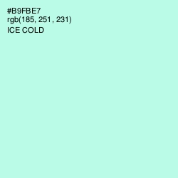 #B9FBE7 - Ice Cold Color Image