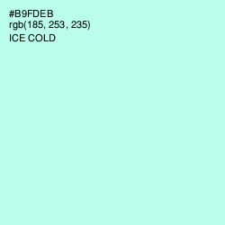 #B9FDEB - Ice Cold Color Image