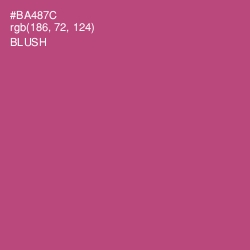 #BA487C - Blush Color Image