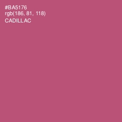 #BA5176 - Cadillac Color Image
