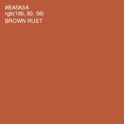 #BA5A3A - Brown Rust Color Image