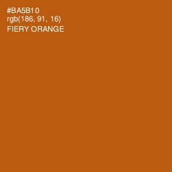 #BA5B10 - Fiery Orange Color Image