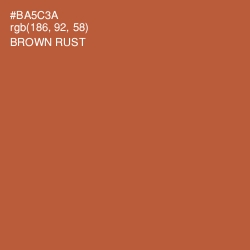 #BA5C3A - Brown Rust Color Image