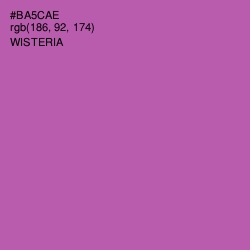 #BA5CAE - Wisteria Color Image