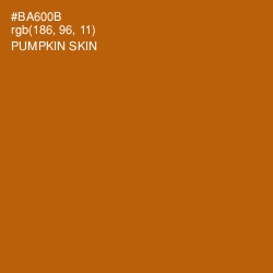 #BA600B - Pumpkin Skin Color Image