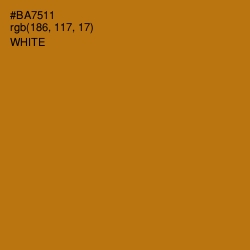 #BA7511 - Bourbon Color Image