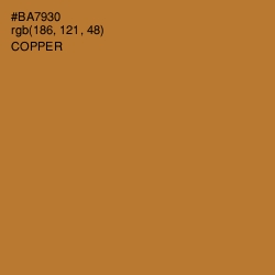 #BA7930 - Copper Color Image