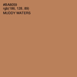 #BA8059 - Muddy Waters Color Image