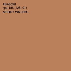 #BA805B - Muddy Waters Color Image