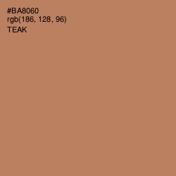 #BA8060 - Teak Color Image