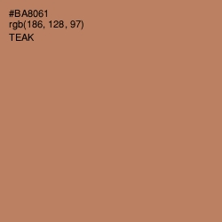 #BA8061 - Teak Color Image