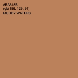 #BA815B - Muddy Waters Color Image