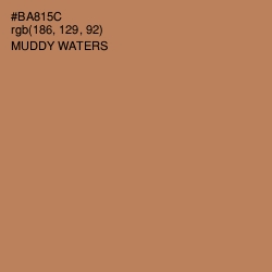 #BA815C - Muddy Waters Color Image