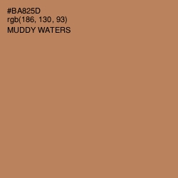 #BA825D - Muddy Waters Color Image