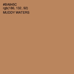 #BA845C - Muddy Waters Color Image