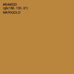 #BA853D - Marigold Color Image