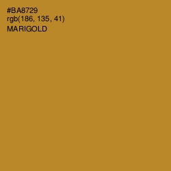 #BA8729 - Marigold Color Image