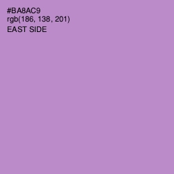 #BA8AC9 - East Side Color Image