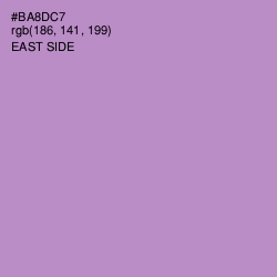 #BA8DC7 - East Side Color Image