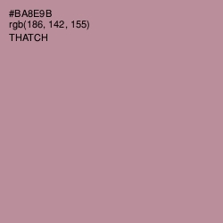 #BA8E9B - Thatch Color Image