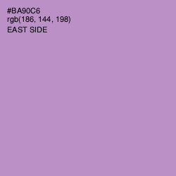 #BA90C6 - East Side Color Image