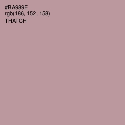 #BA989E - Thatch Color Image