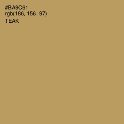 #BA9C61 - Teak Color Image
