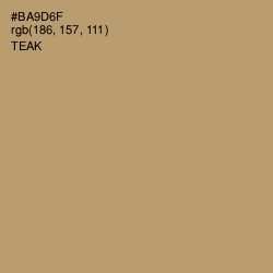 #BA9D6F - Teak Color Image