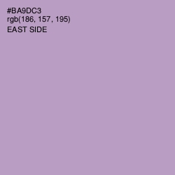 #BA9DC3 - East Side Color Image