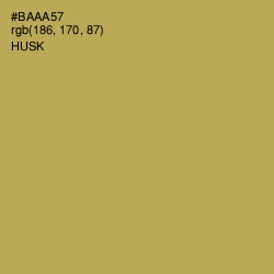 #BAAA57 - Husk Color Image