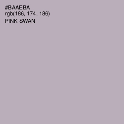 #BAAEBA - Pink Swan Color Image