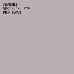 #BAB0B2 - Pink Swan Color Image