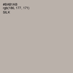 #BAB1AB - Silk Color Image