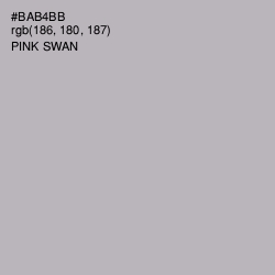 #BAB4BB - Pink Swan Color Image