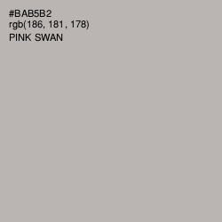 #BAB5B2 - Pink Swan Color Image